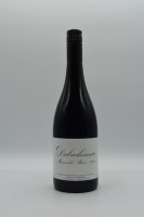 Dalwhinnie Moonambel Shiraz 2009