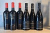 Mixed Six 538 - Shiraz