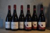 Mixed Six 539 - Shiraz