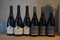 Mixed Six 540 - Shiraz
