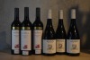 Mixed Six 541 - Shiraz