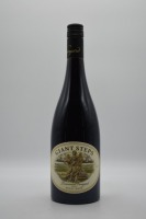 Giant Steps Primavera Vineyard Pinot Noir 2015